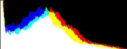 Histogram